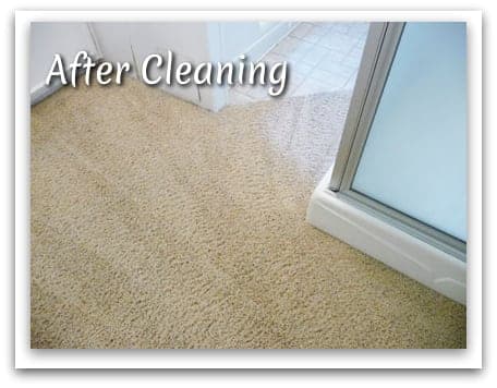 Carpet after cleaning