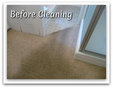 Carpet before cleaning