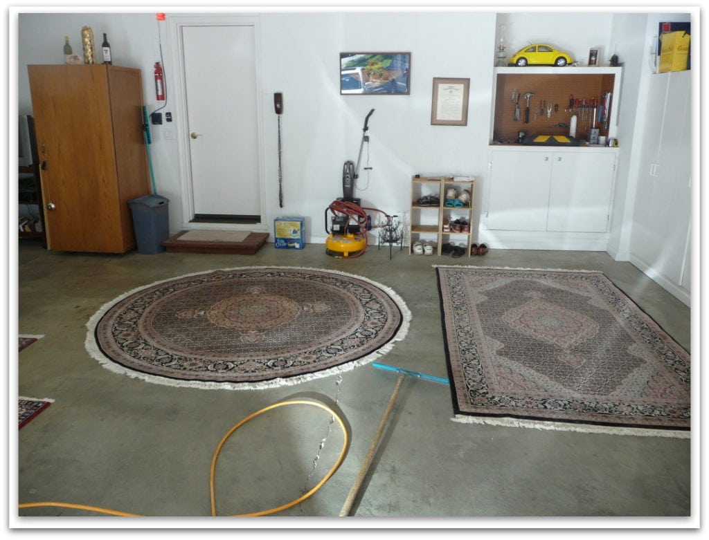 5 Easy Steps to Protect Your Carpet Investment Pristine Carpet Cleaning