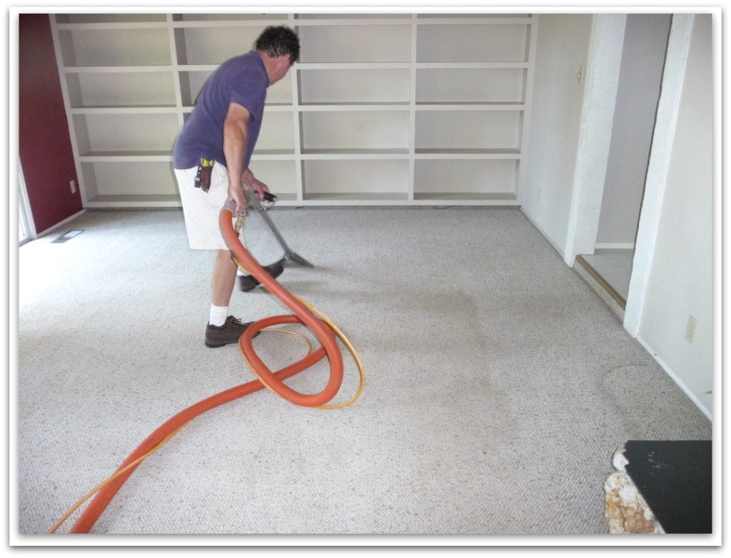 Testimonials Pristine Carpet Cleaning